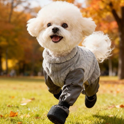 Small white dog in a gray sweater running on grass with trees in the background