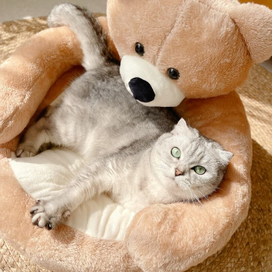 Ultra-Soft Teddy Bear Plush Pet Bed - Warm & Snuggly