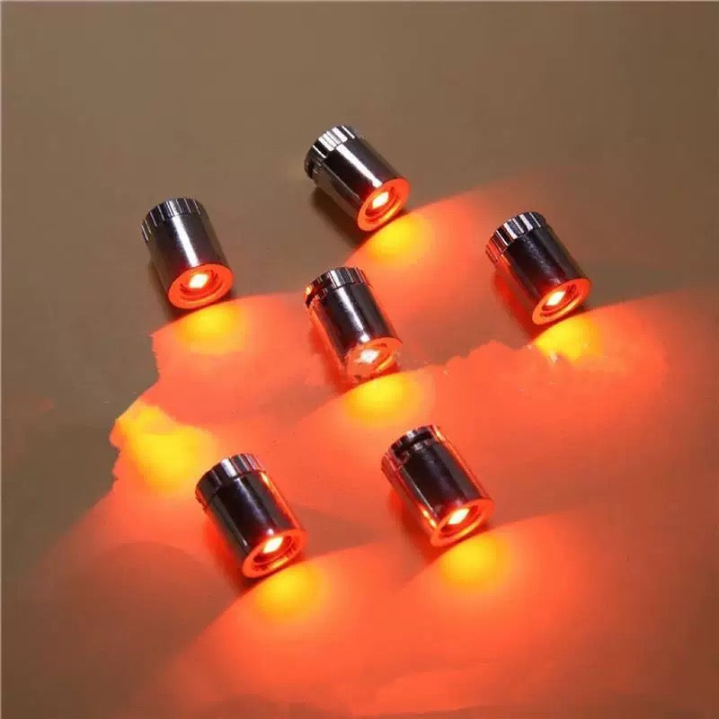 Clip-On LED Shoe Lights for Pets - Night Safety (4 Pack)