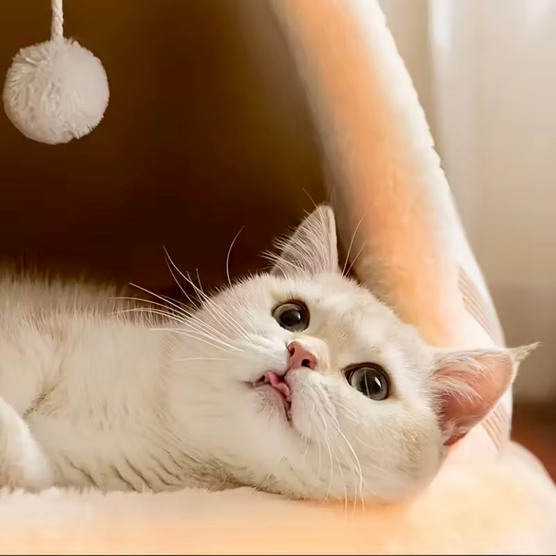 Cat and dog tent warm house
