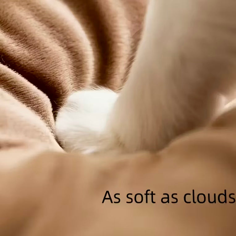 Cat and dog tent warm house