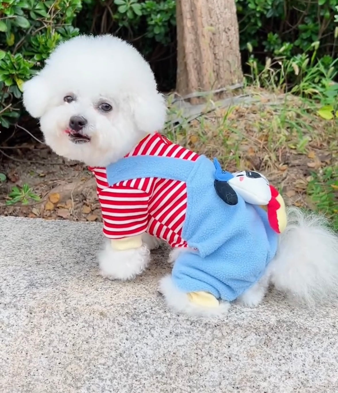 Funny cute Pet Winter Cartoon vest