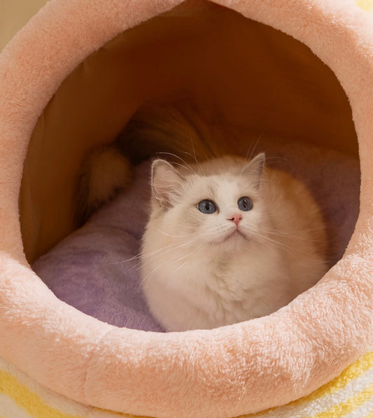Soft Cozy Pet bed Sleeper