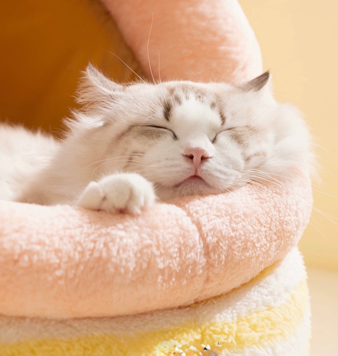 Soft Cozy Pet bed Sleeper