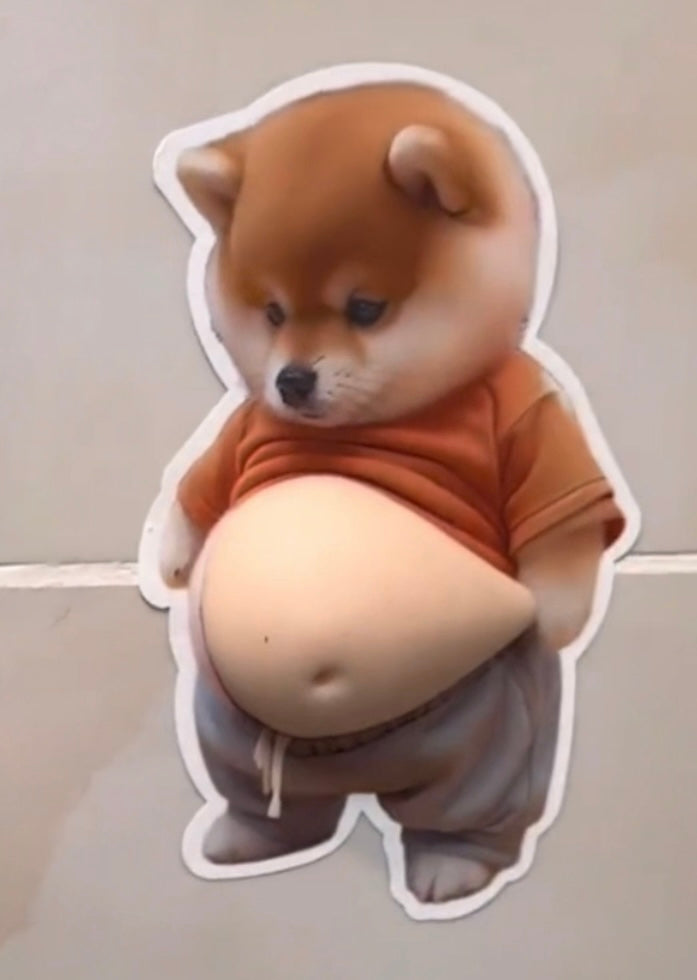 Cute Bump Guards Door anti collision door pads