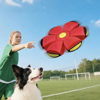Person and dog with a red and yellow flying disc on a sports field