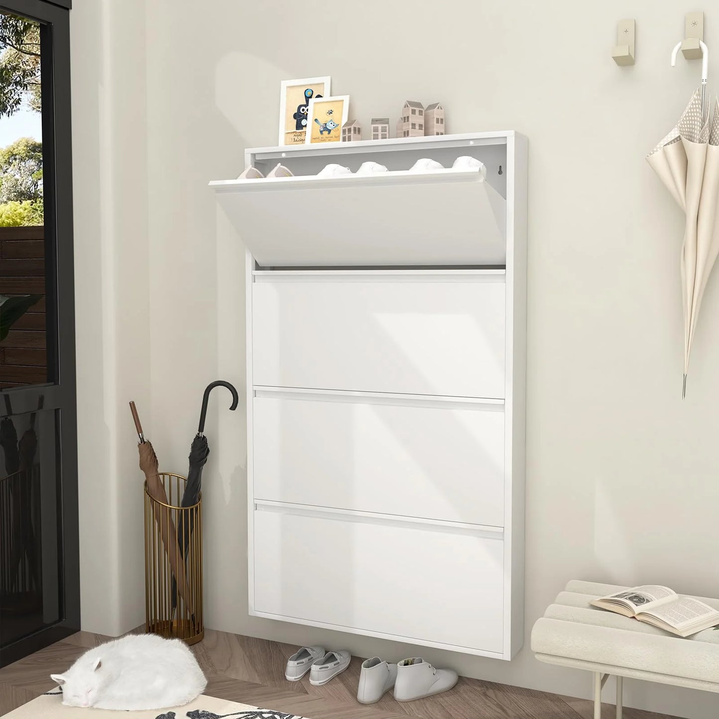 Modern Shoe Cabinet with drawers