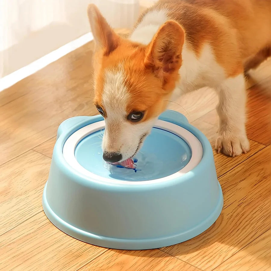Pet anti splash water bowl