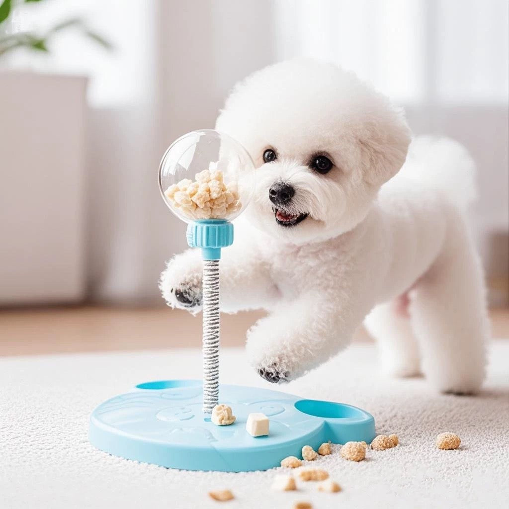 Snack chase pet toy