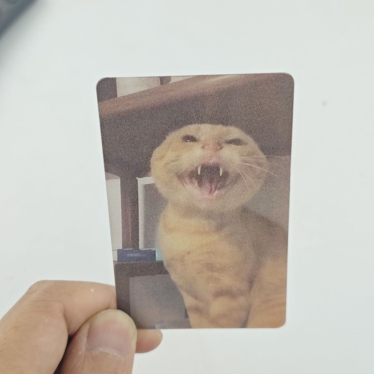😼 Holographic Cat Reaction FlashCard – Funny 2-Image Flip Acrylic Meme Tag Keepsake