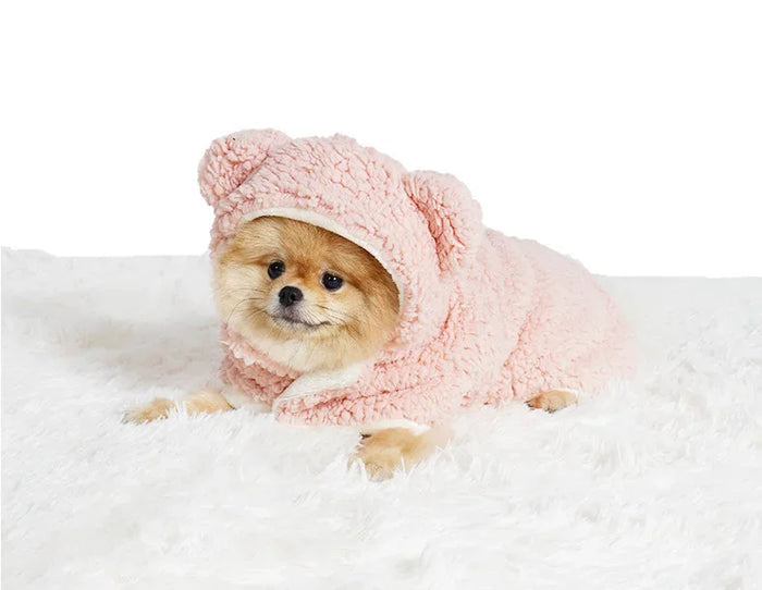 Pet blanket dress