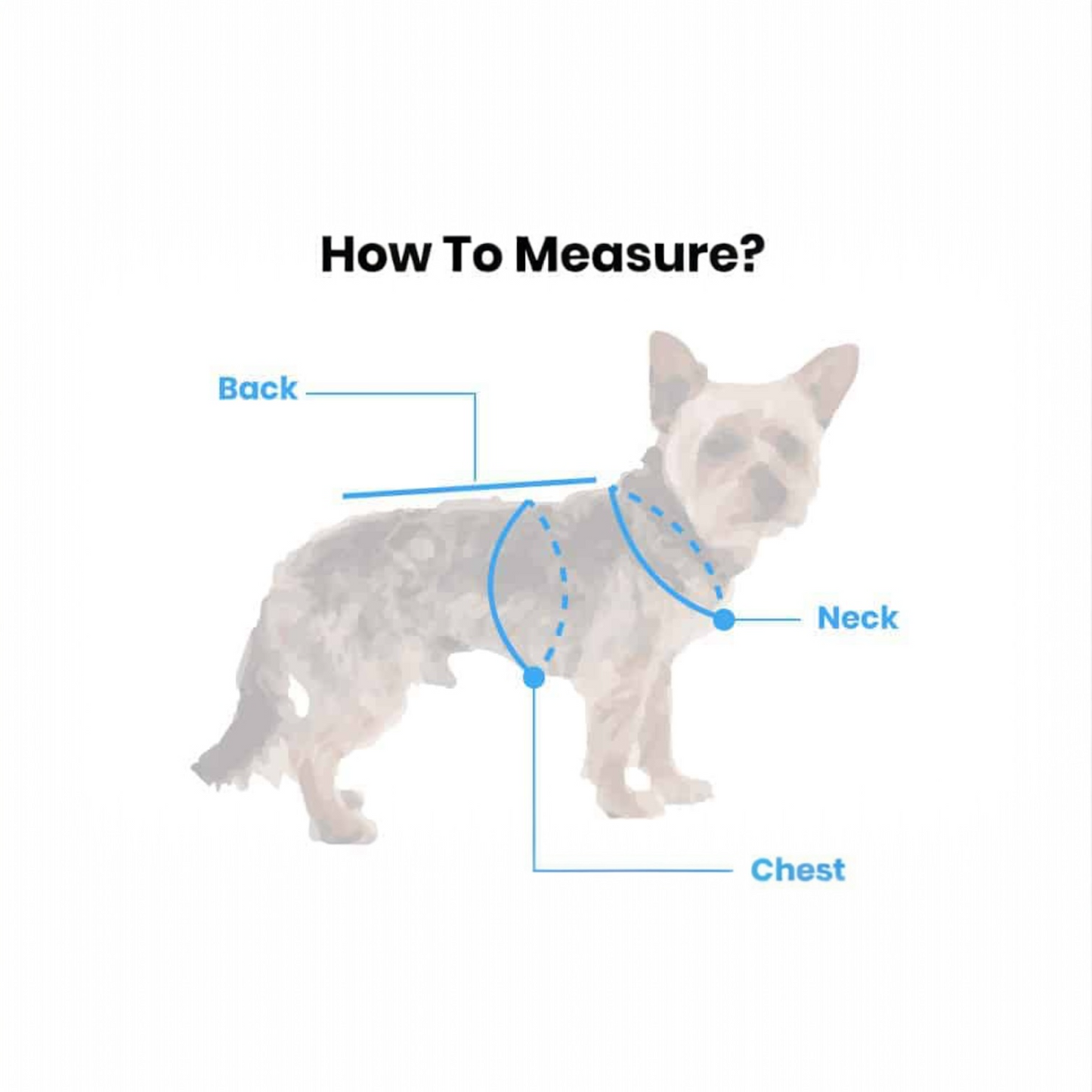 Classic Breathable Dog Carrier Tote - Travel Essential