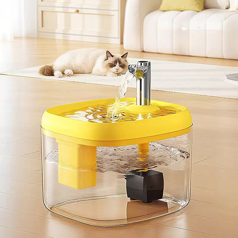 Automatic warm Water Dispenser