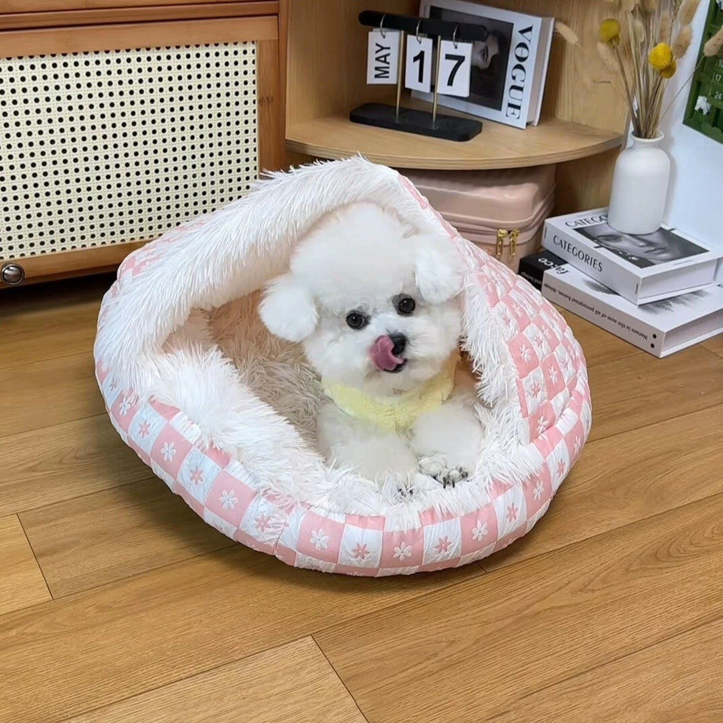 Cozy Shell Bed for Cat And Dog