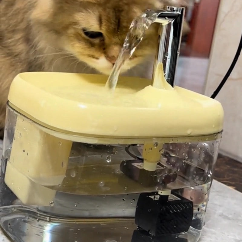 Warm pet water dispenser