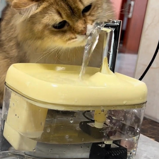 Warm pet water dispenser