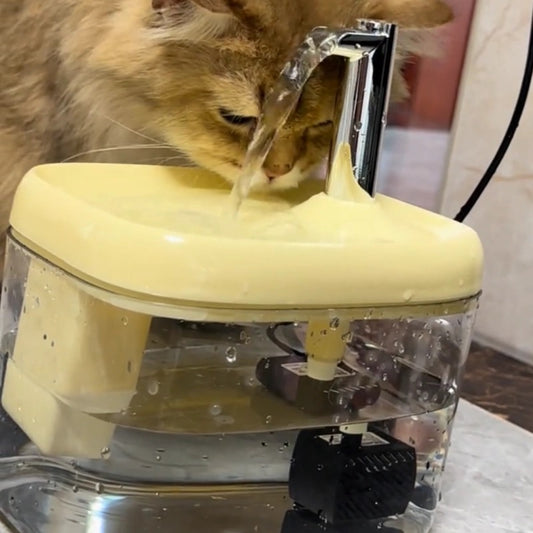 Warm pet water dispenser