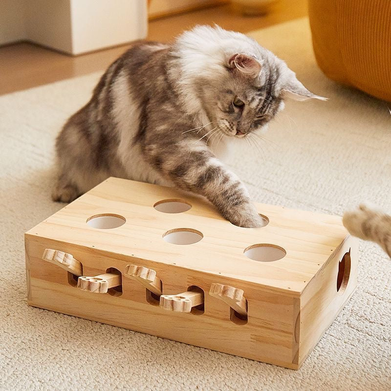 Pet hunting toy box