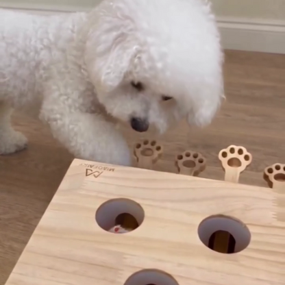 Pet hunting toy box