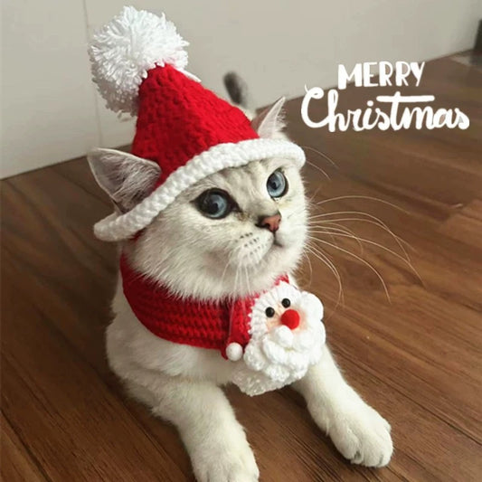 Cute Christmas Handmade Hat and Scarf Set