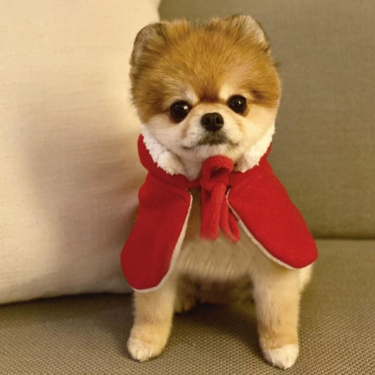Merry Christmas pet cozy Coat