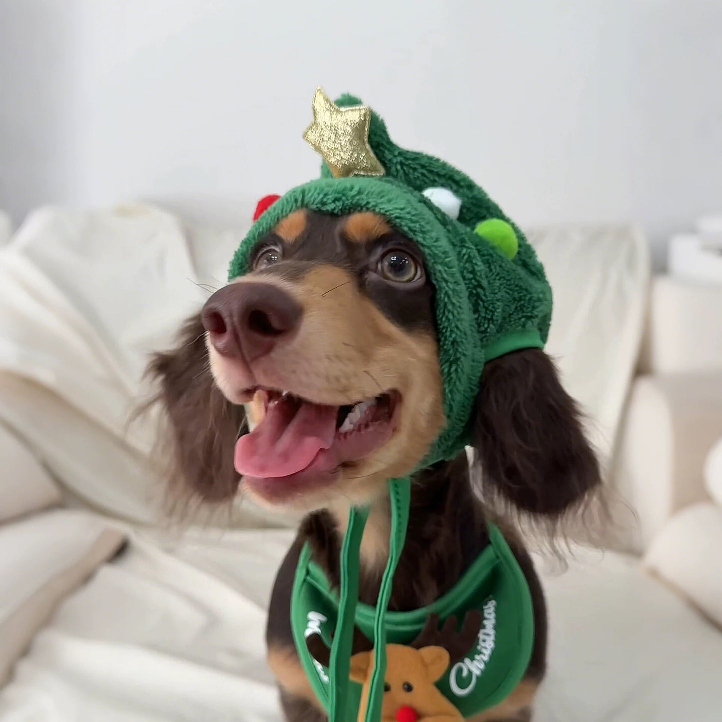 Merry Tree Christmas outfit