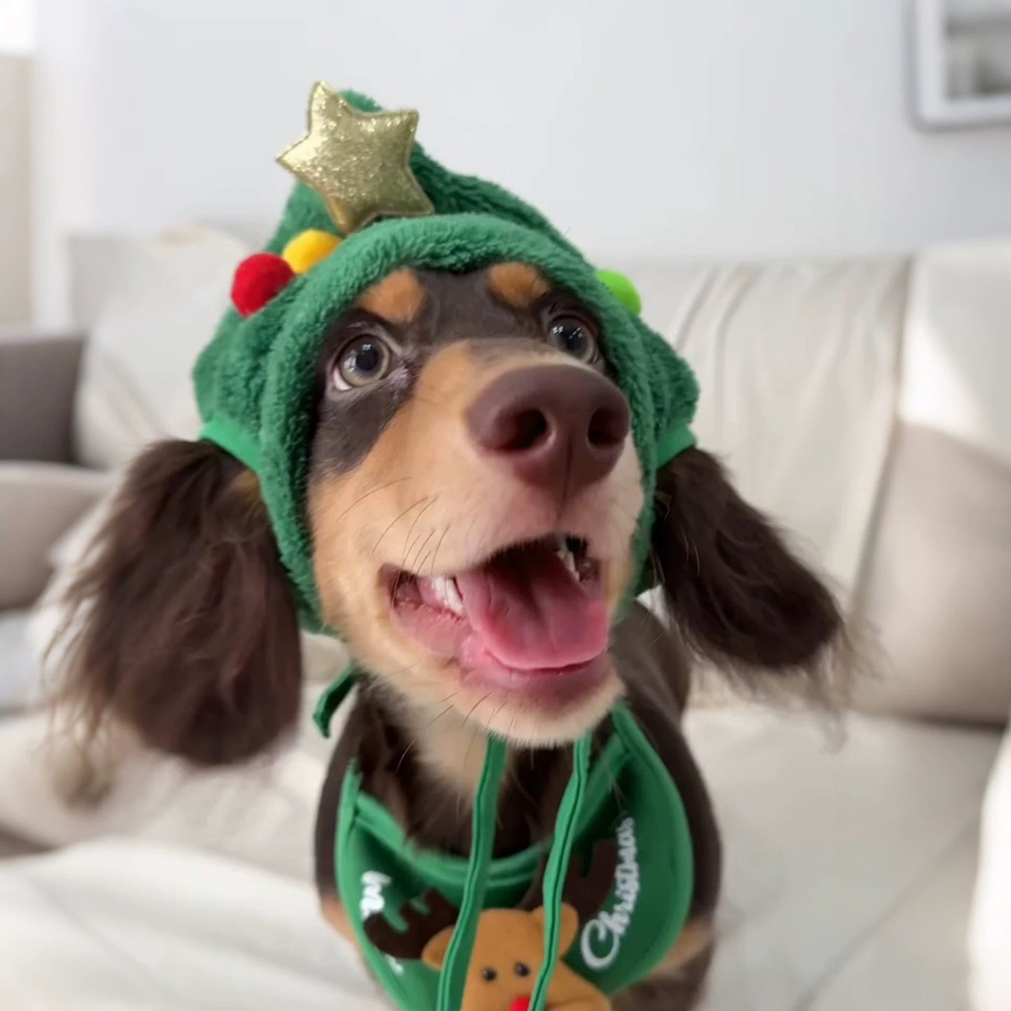 Merry Tree Christmas outfit