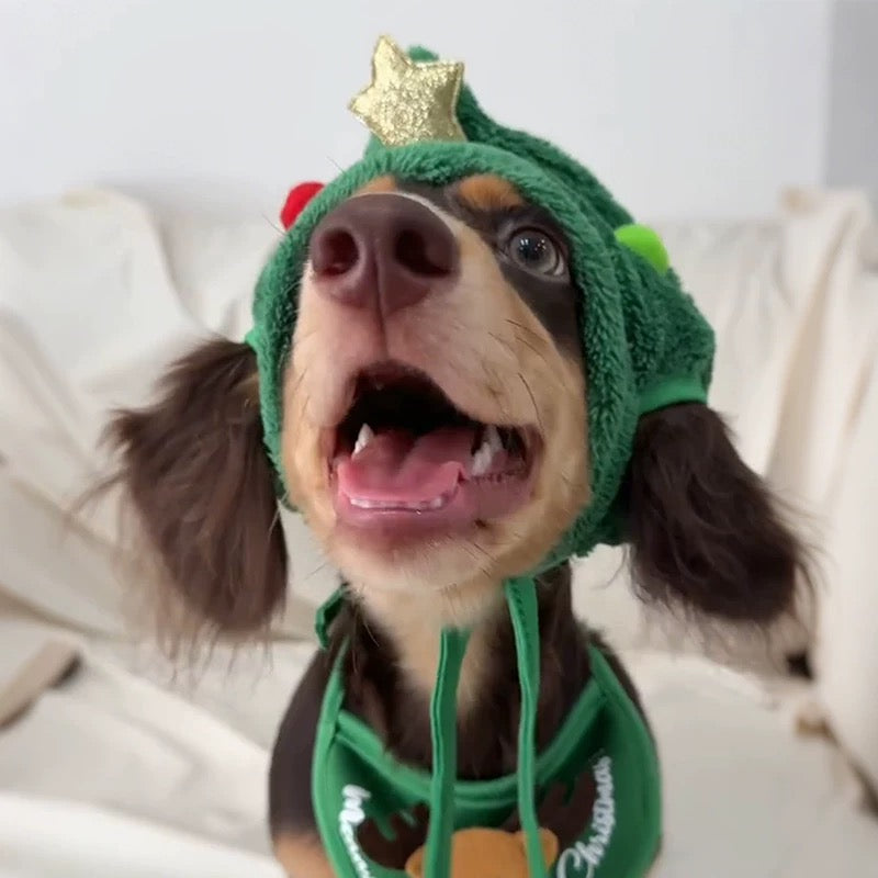 Merry Tree Christmas outfit