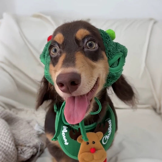 Merry Tree Christmas outfit