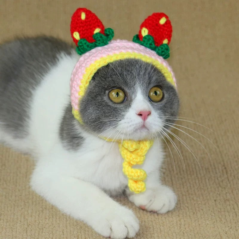 Crochet cat hat 💕