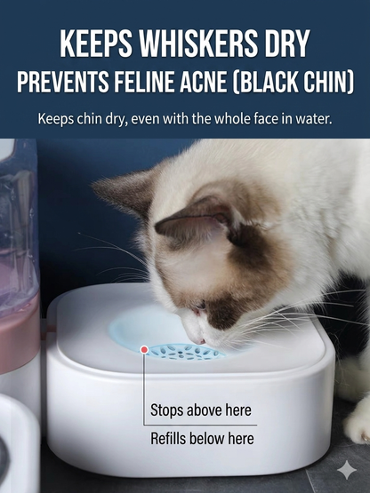 Automatic Gravity Pet Water Dispenser - Electricity-Free Cat & Dog Water Bowl, Splash-Proof Anti-Wet Mouth Design, Anti-Slip Base