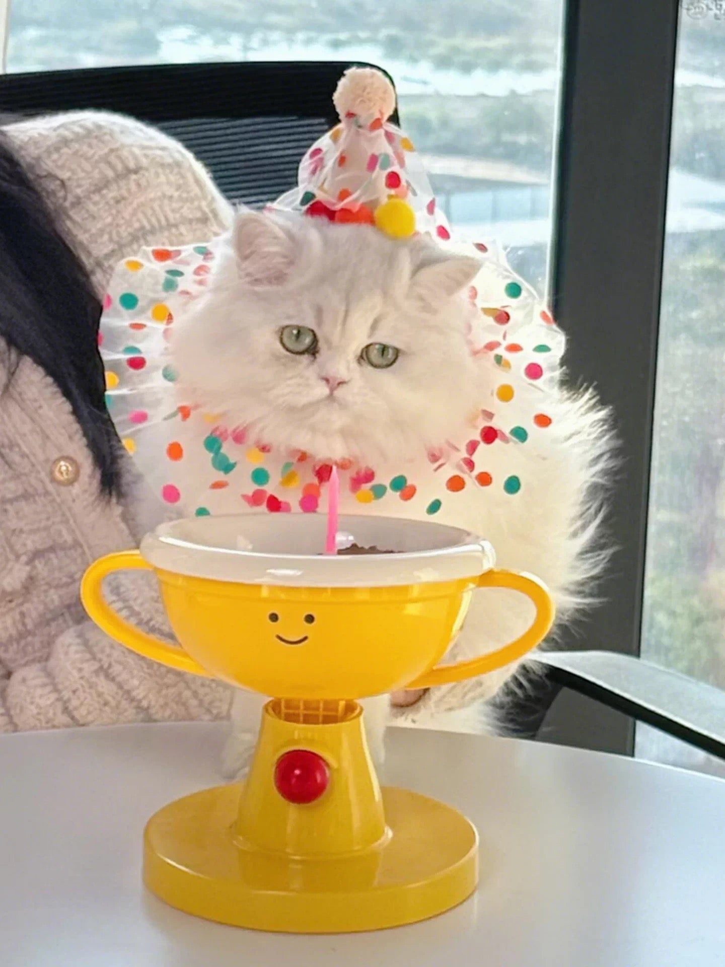 Adjustable Trophy Cat Bowl