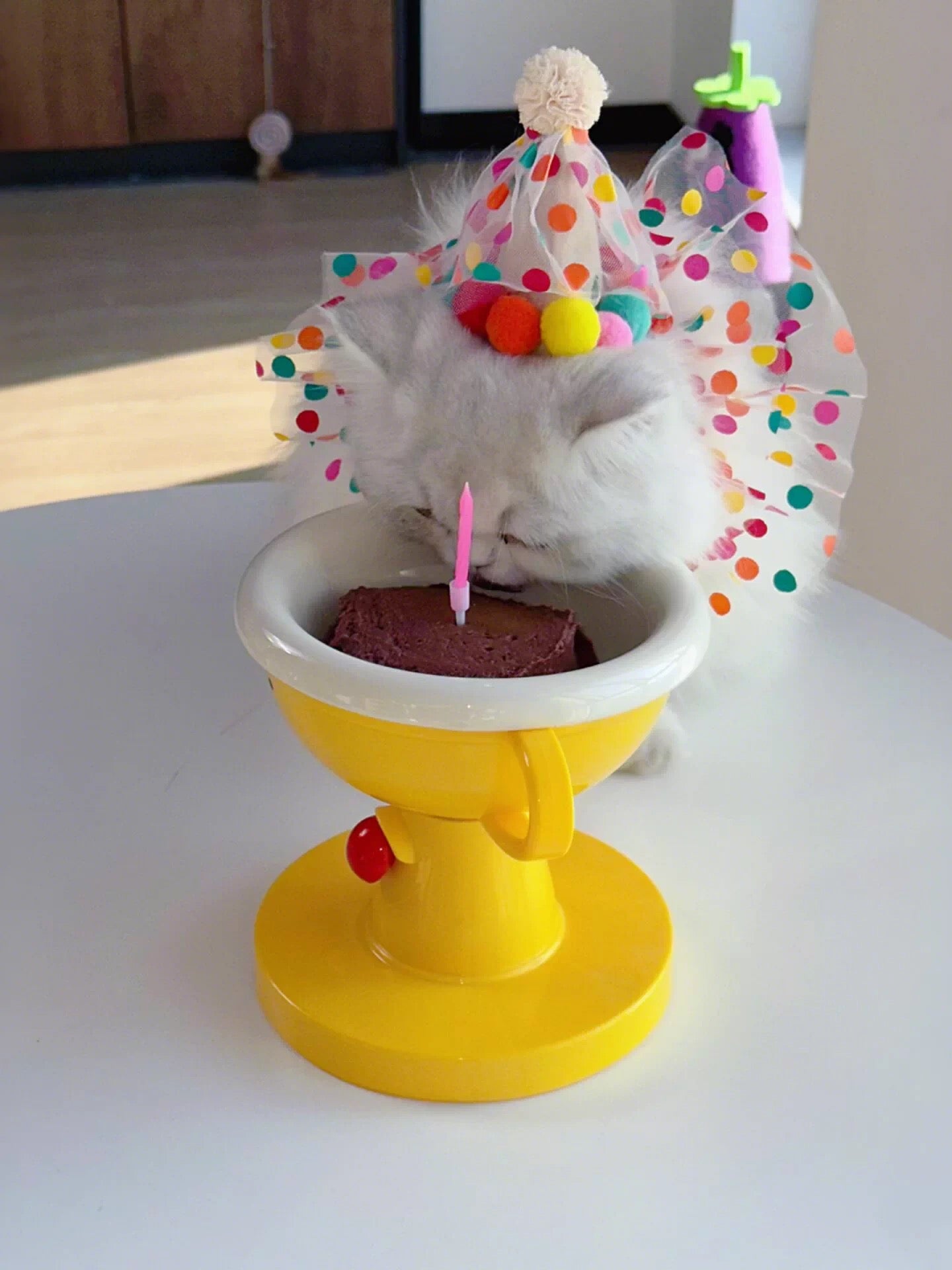 Adjustable Trophy Cat Bowl