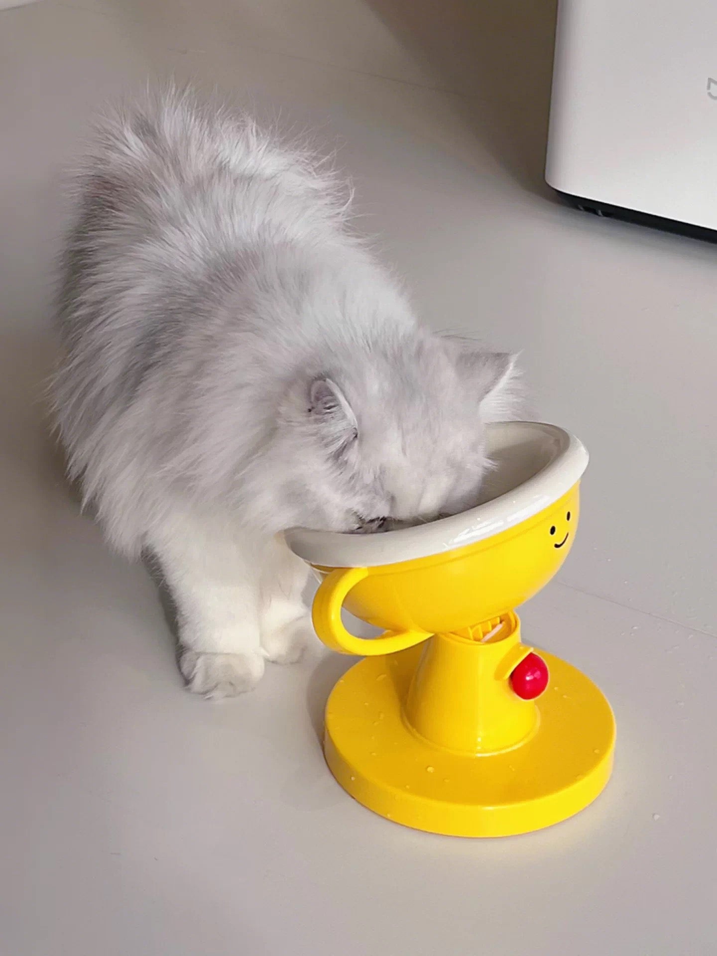 Adjustable Trophy Cat Bowl