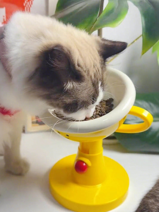 Adjustable Trophy Cat Bowl