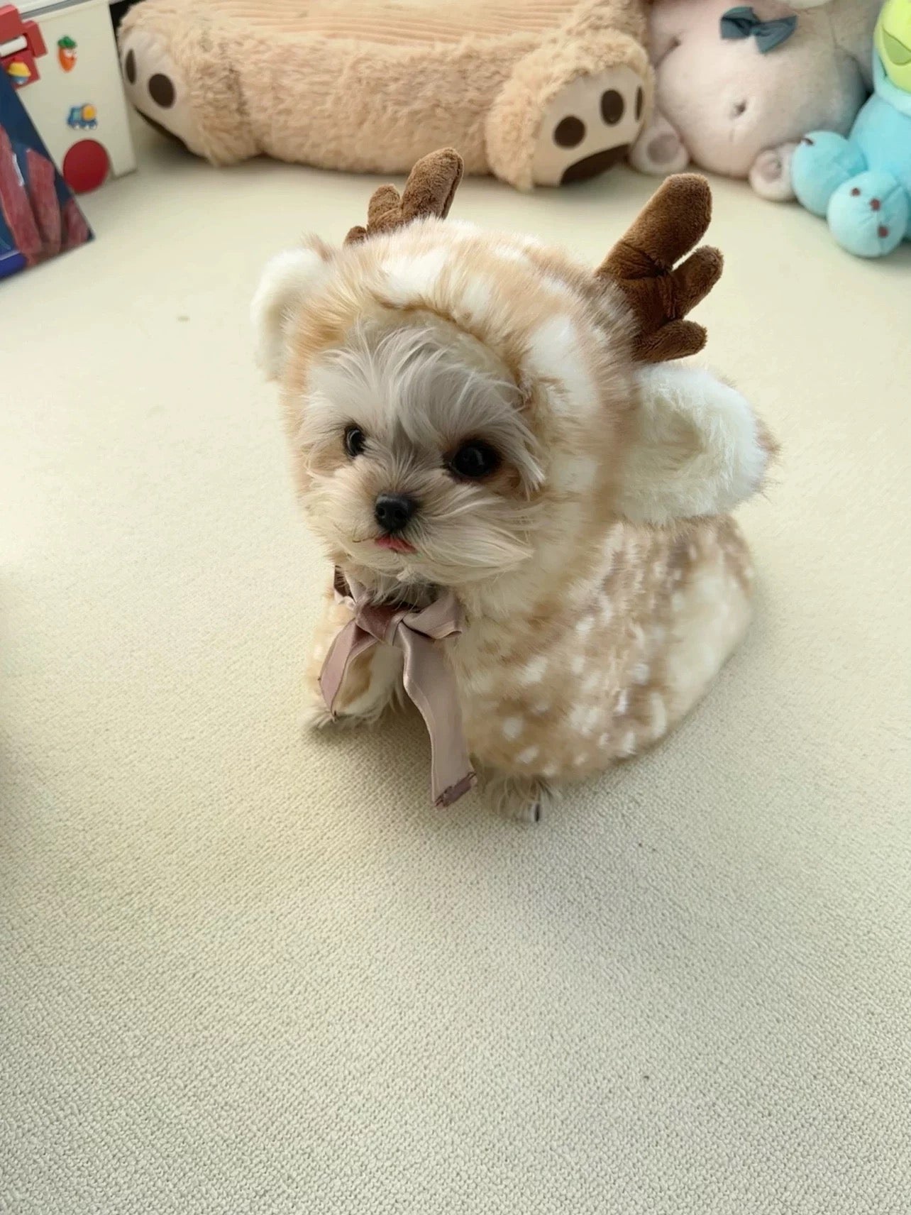 cozy reindeer cape winter Christmas pet outfit