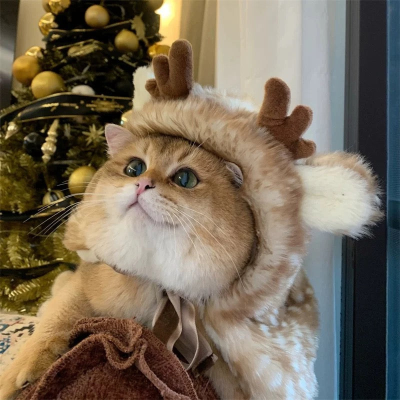 cozy reindeer cape winter Christmas pet outfit