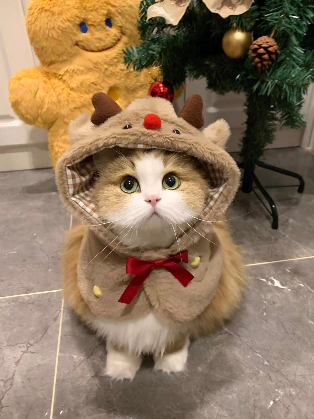 Christmas reindeer cat and dog winter outfit