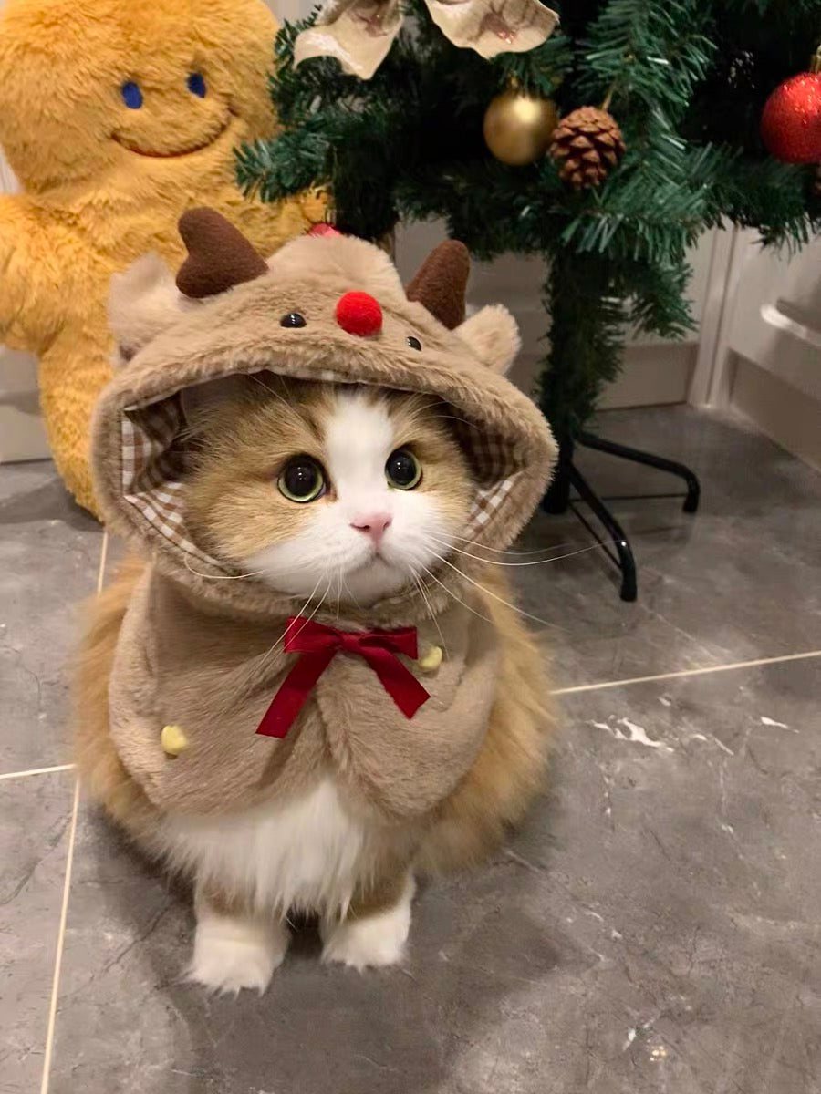 Christmas reindeer cat and dog winter outfit