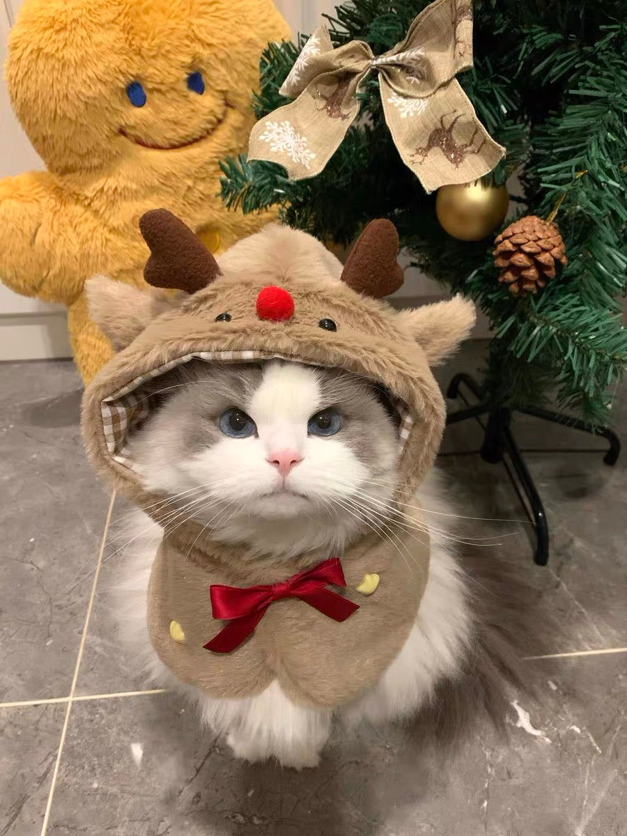 Christmas reindeer cat and dog winter outfit