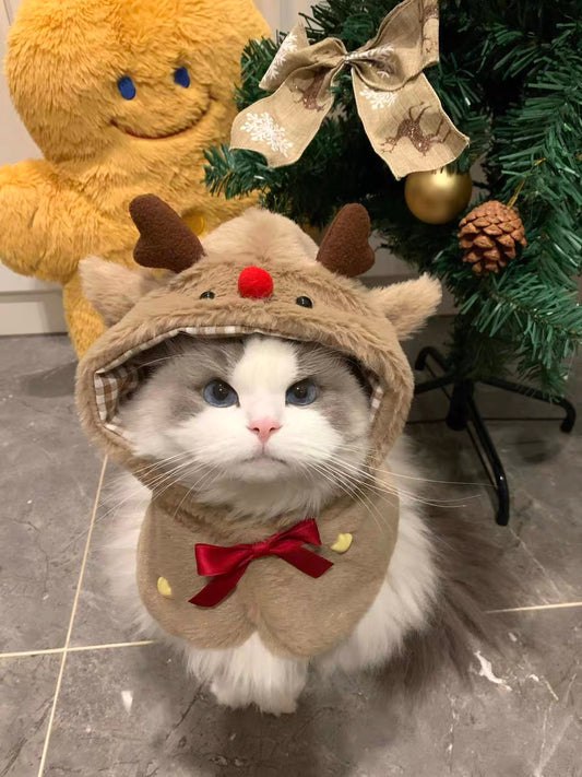 Christmas reindeer cat and dog winter outfit