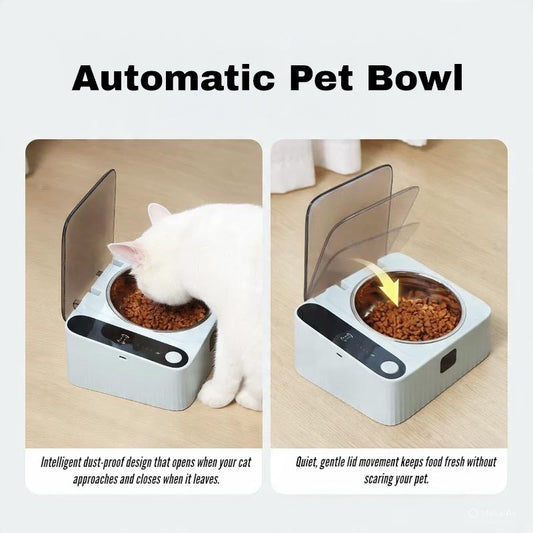 Automatic Pet Bowl