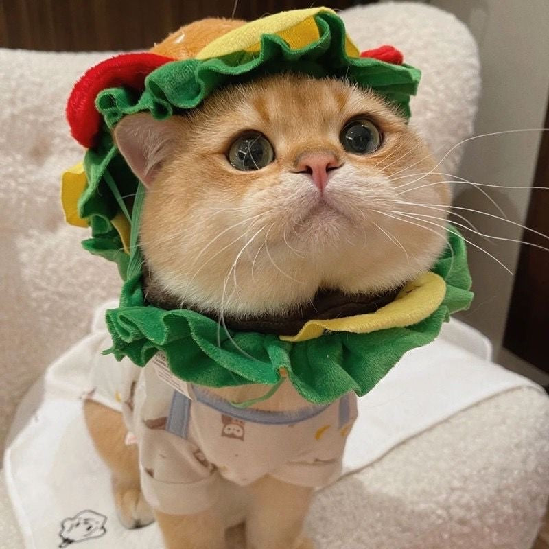 hamburger plush hat for cats