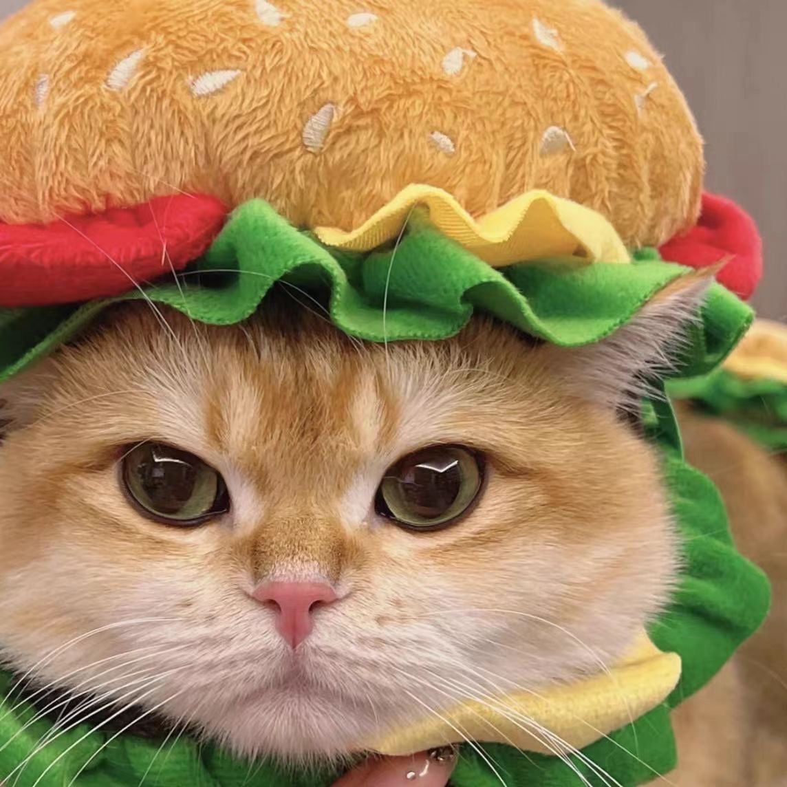 hamburger plush hat for cats