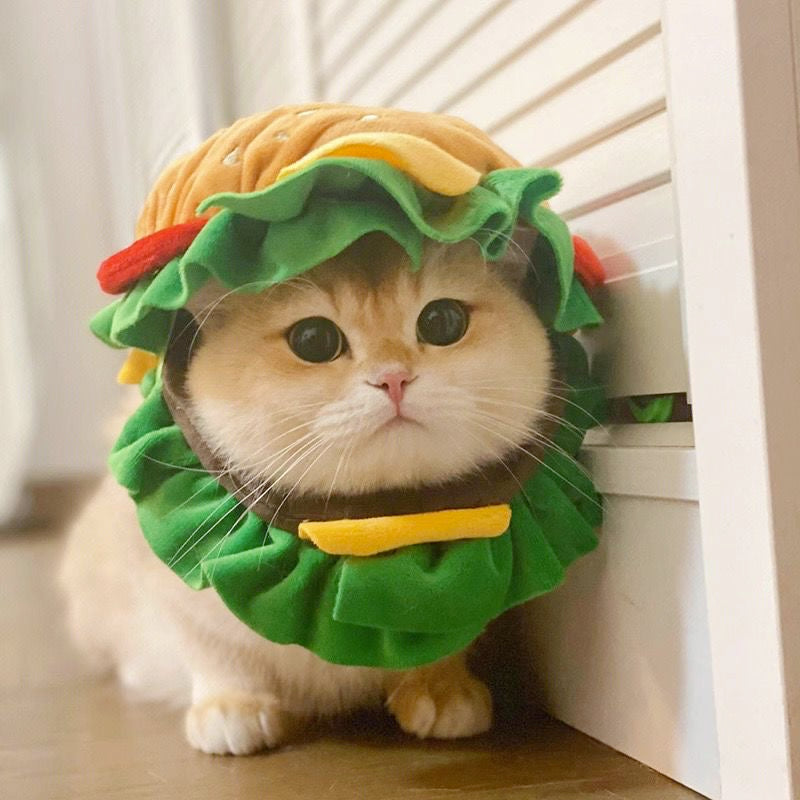 hamburger plush hat for cats