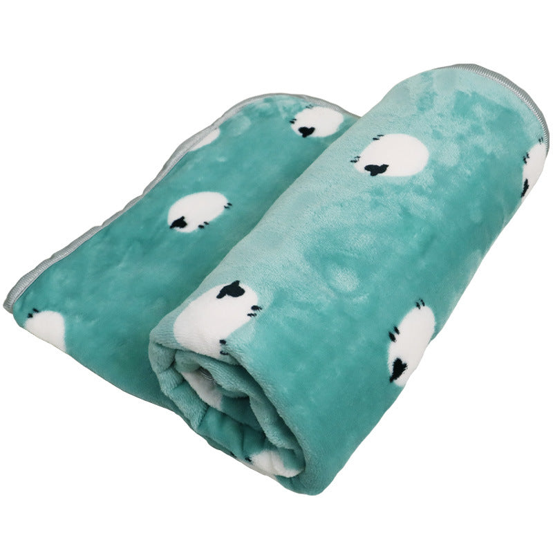 Cute Thick Pet Blanket