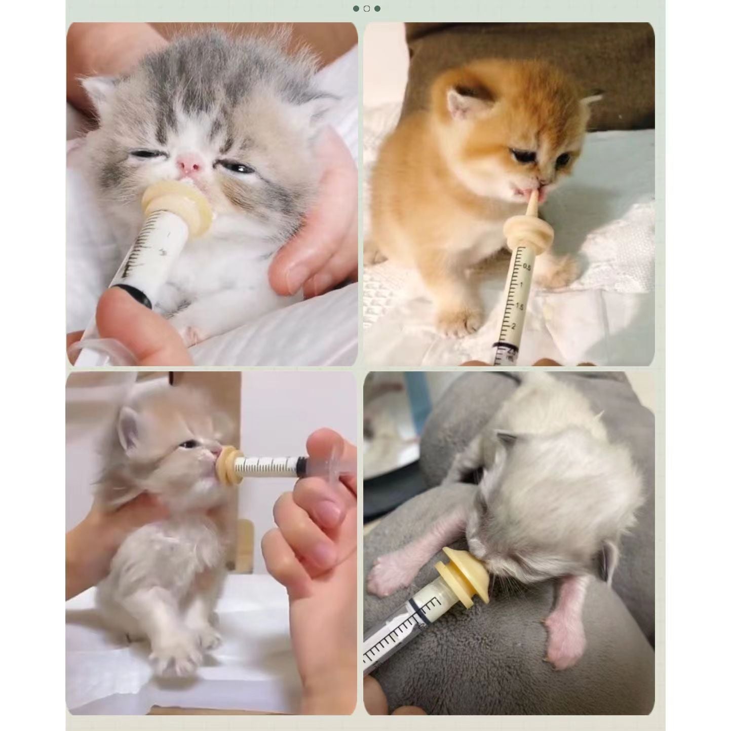 Puppy & Kitten Feeding Syringe set - Easy & Gentle Pet Feeder | Cutierstore.com