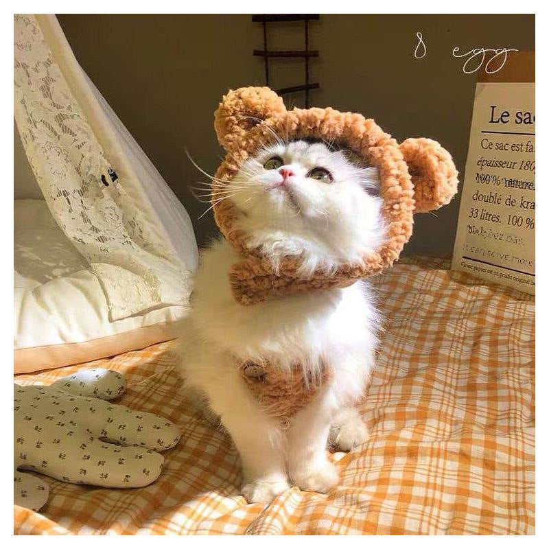 Cute plush Hat for Cats And Dogs