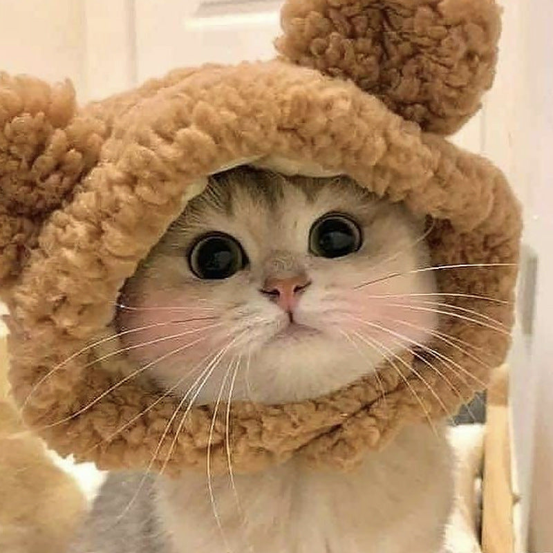 Cute plush Hat for Cats And Dogs