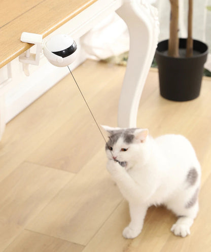 Automatic Retractable Teasing Ball - Cutier Store